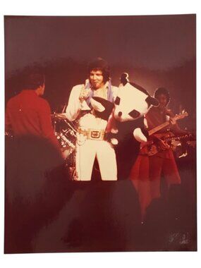 Elvis Presley Color Glossy 8x10 Photo Panda Bear 1970s Concert Jumpsuit